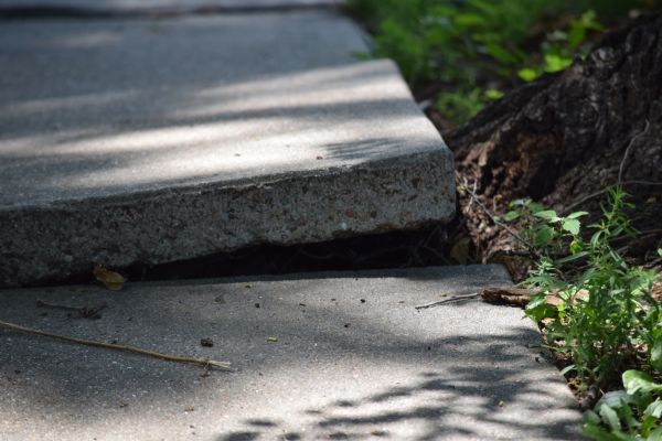 Sidewalk Leveling in Mobile